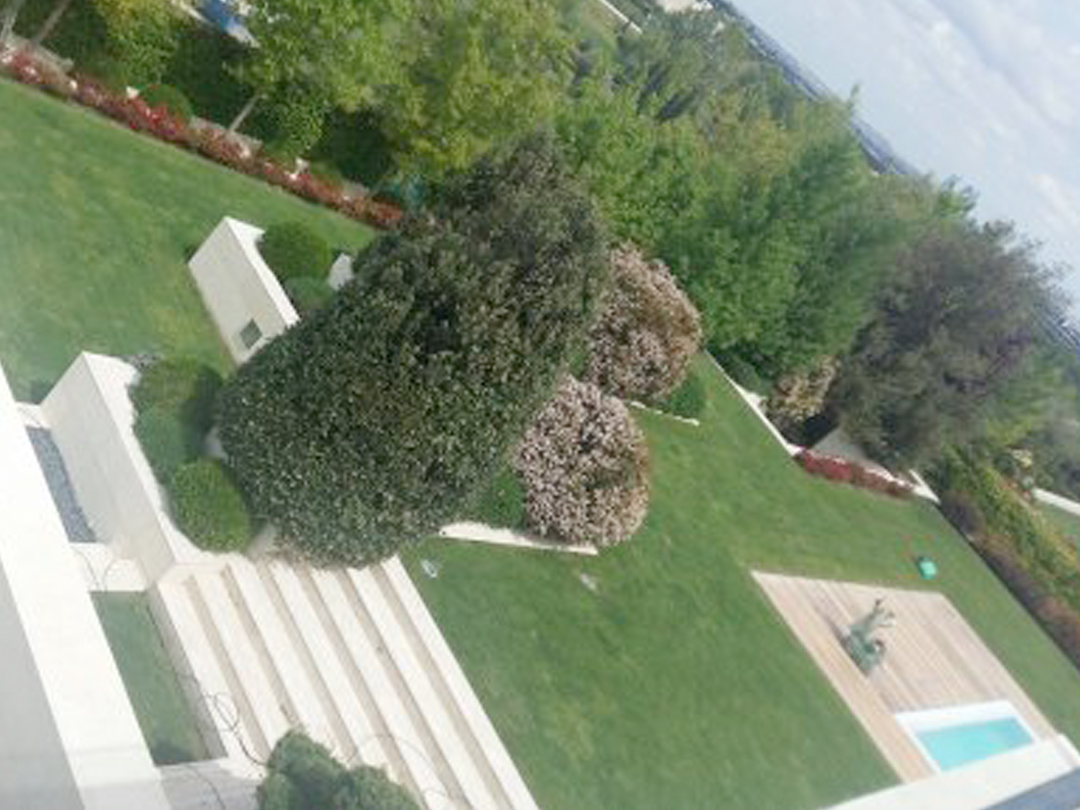 disñeo de jardín y psicina