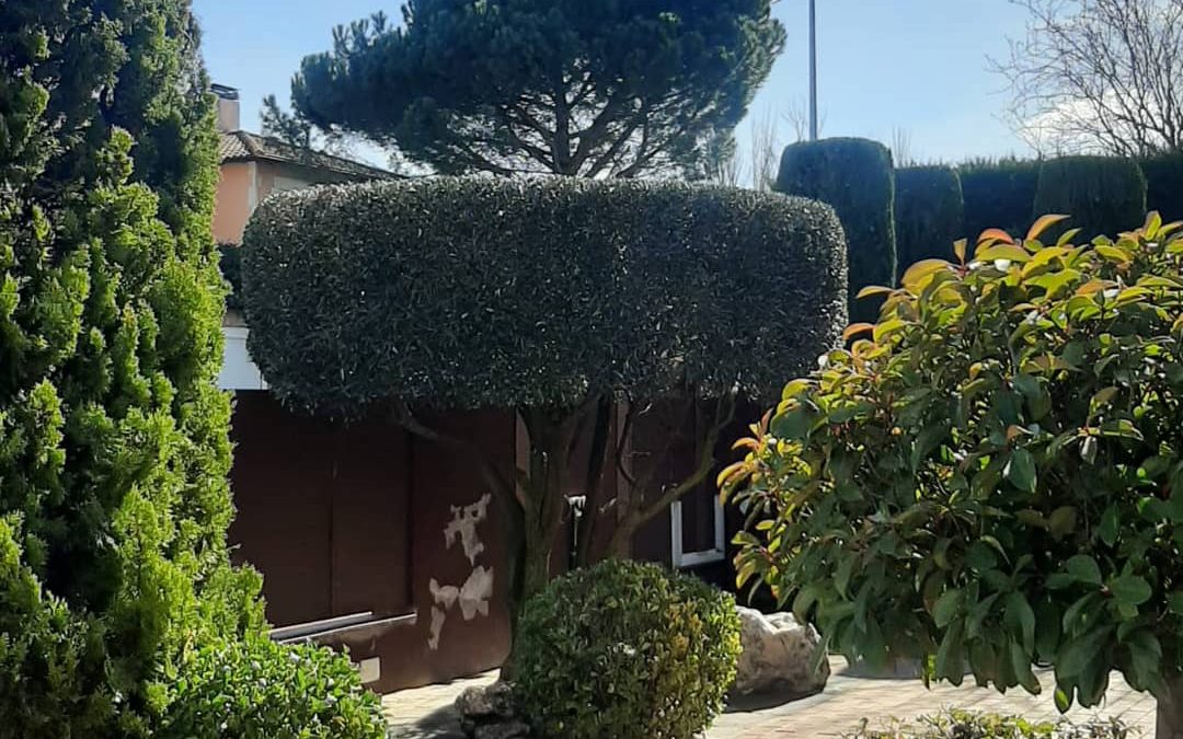 DISEÑO DE JARDINES
