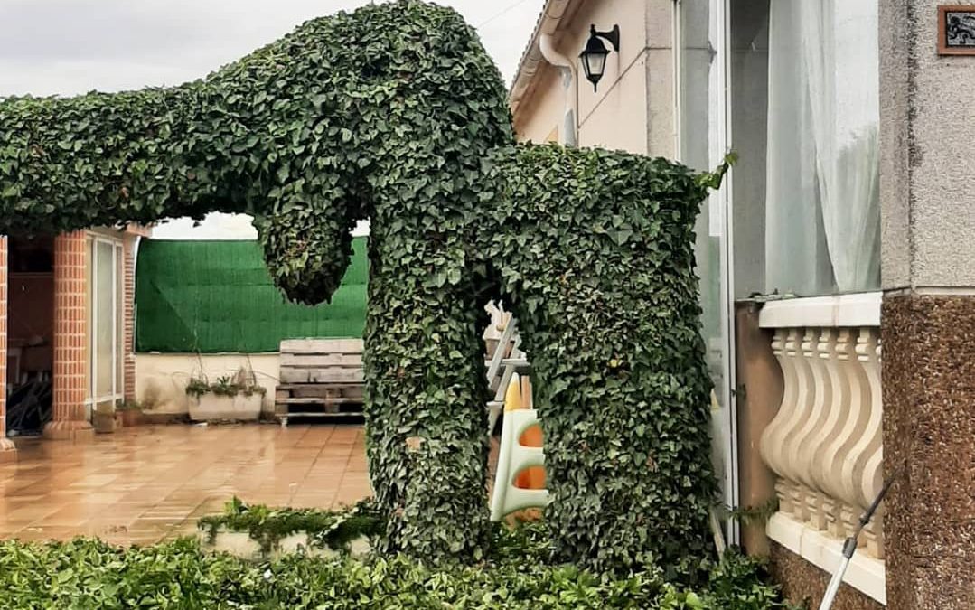JARDINERÍA PREMIUM EN SALAMANCA