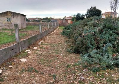 servicios de jardineria y poda en Salamanca
